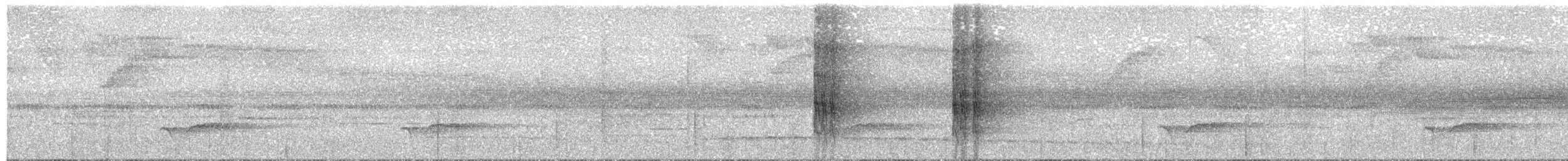 Anabate vergeté - ML109517571