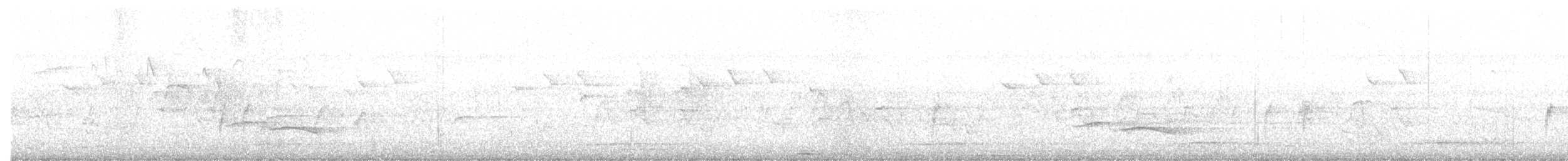 Пятнистогрудая тимелия-говорушка - ML109525101