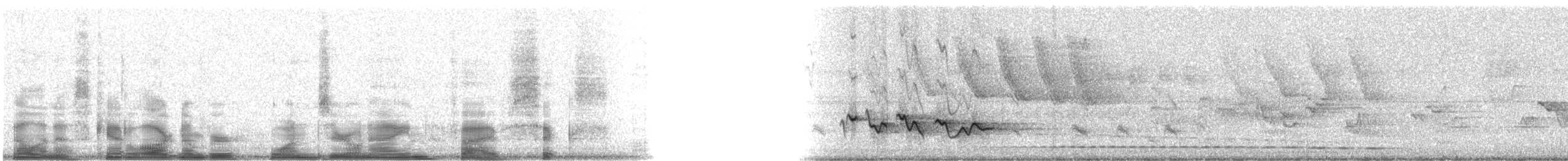 Rostbrauenvireo [gujanensis-Gruppe] - ML10956