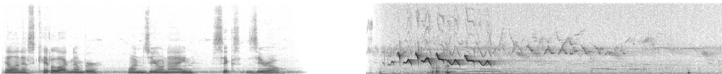 Rostbrauenvireo [gujanensis-Gruppe] - ML10960