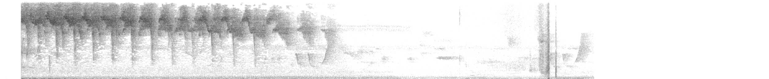 White-eared Ground-Sparrow - ML109643421