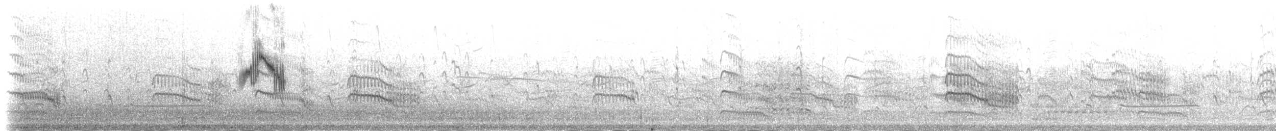 gulerle (cinereocapilla gr.) - ML109676831