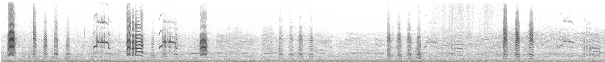 Крячок рябодзьобий (підвид sandvicensis) - ML109691331