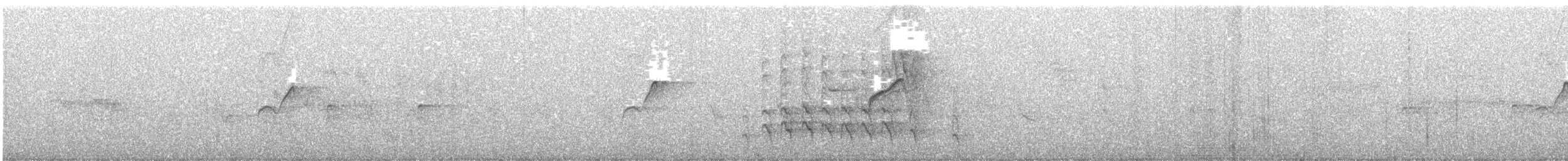 vestempid (occidentalis/hellmayri) (cordilleraempid) - ML109693801