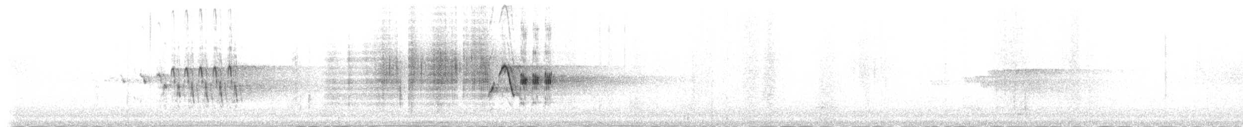 Горихвістка чорна (підвид gibraltariensis/aterrimus) - ML109710261
