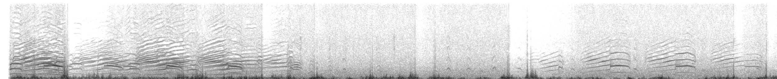 Parasitic Jaeger - ML109790331