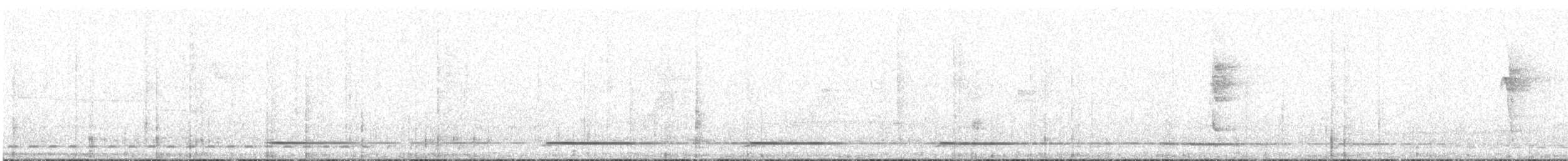 オバシギダチョウ - ML109869231