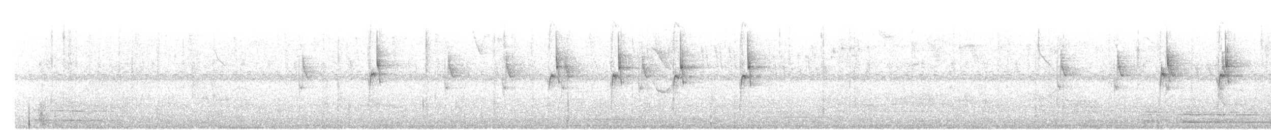Brown Violetear - ML109908451