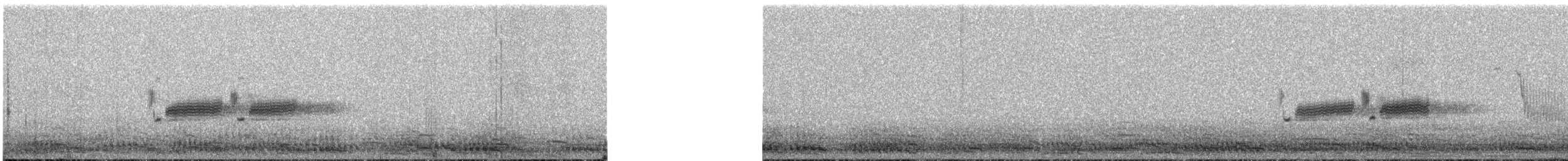 Kaya Çıtkuşu - ML109916011