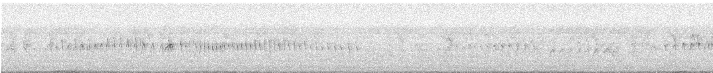 Серпокрилець білочеревий - ML109947601