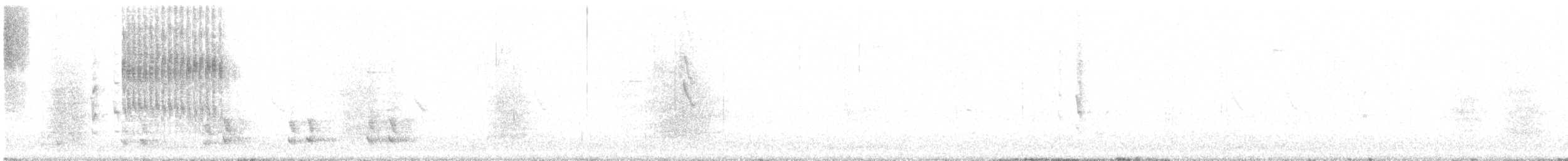 gråryggnålstjert (aegithaloides) - ML109976421