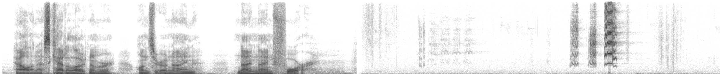 brunhetteparakitt (lucida) - ML109994
