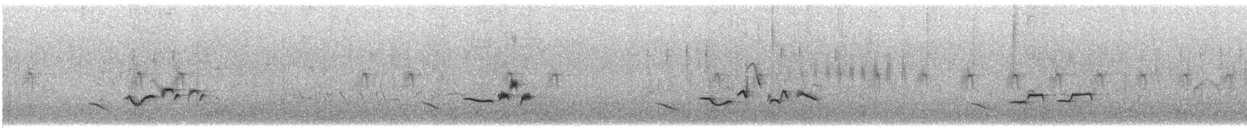 gråflanketrosteskvett - ML110013511