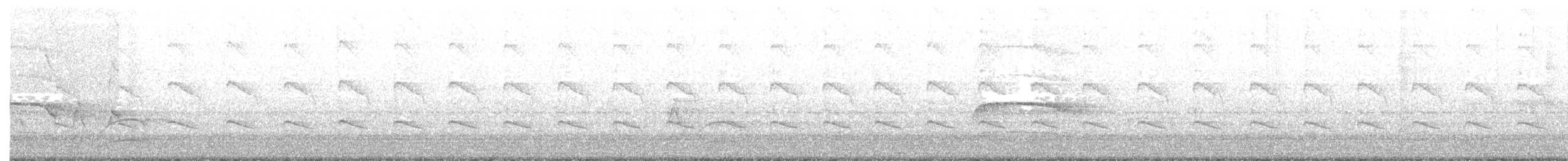 Crescent-chested Puffbird - ML110062261