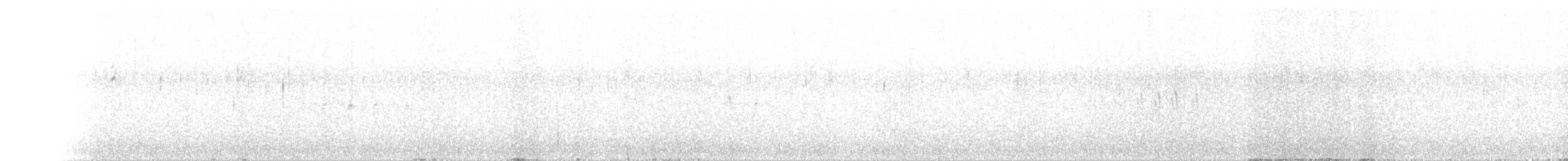 White-winged Crossbill - ML110101641