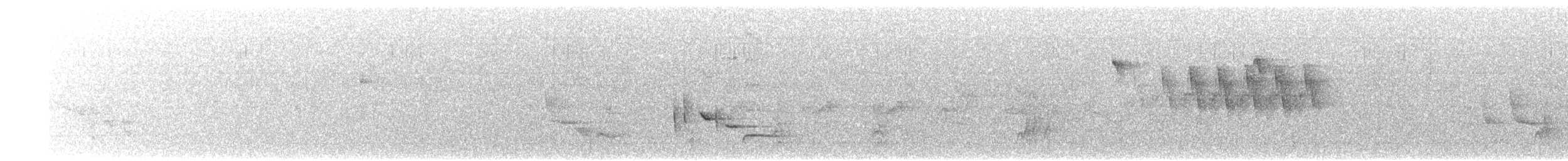 Ak Karınlı Çıtkuşu - ML110107761