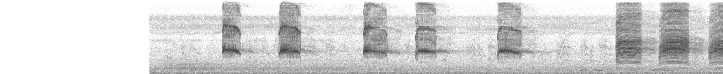 Loggerhead Shrike - ML110143741