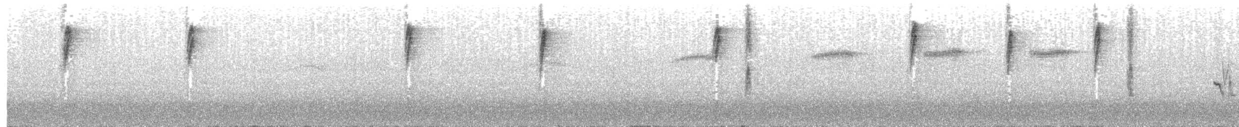 コシアカフウキンチョウ（passerinii） - ML110147661