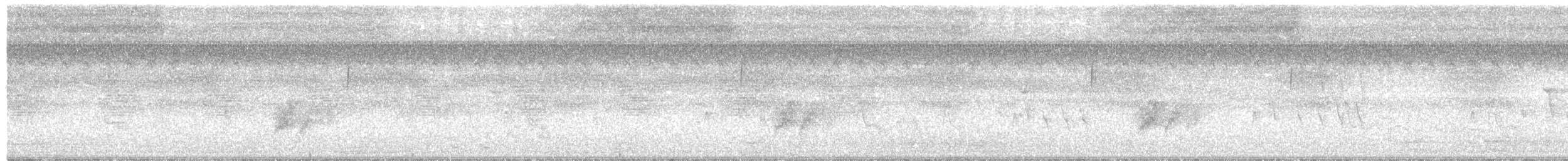 tyranovec olšový - ML110170551