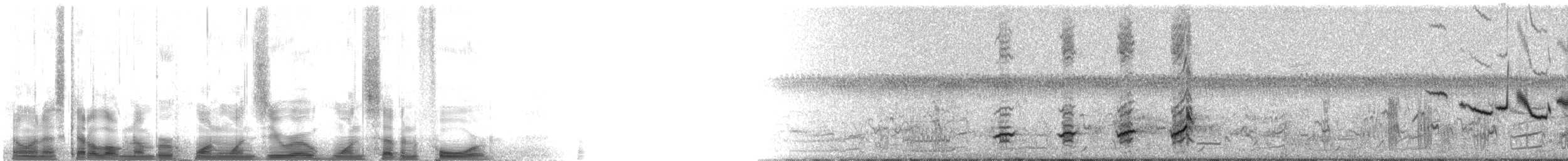 křepel chocholatý [skupina cristatus] - ML110174