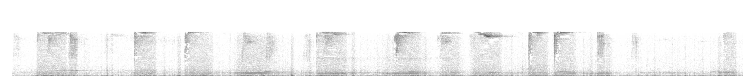 White-browed Warbler - ML110185891