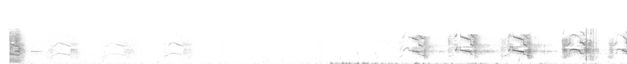 Желтохвостый траурный какаду - ML110210641