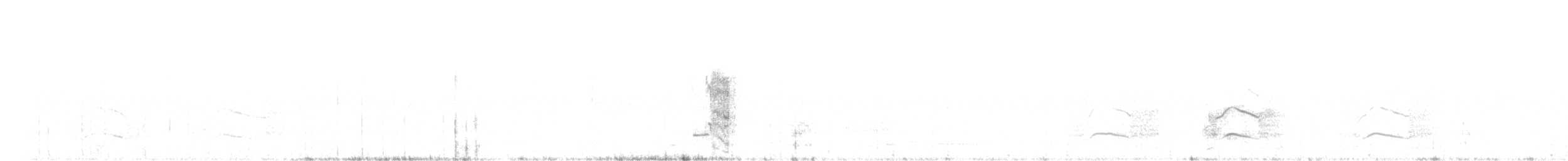 Желтохвостый траурный какаду - ML110210651