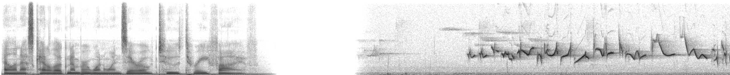 purpurfink (purpureus) - ML110235