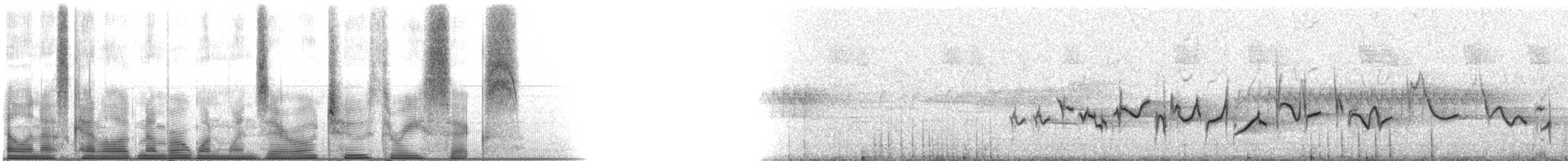 purpurfink (purpureus) - ML110236