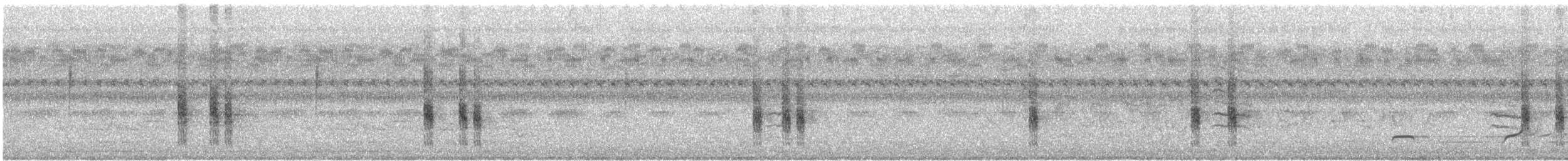 Troglodyte familier - ML110256141