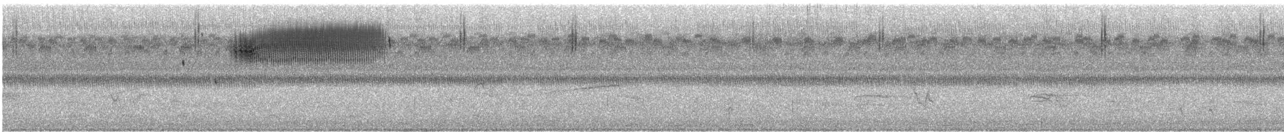 Heuschreckenammer - ML110256201