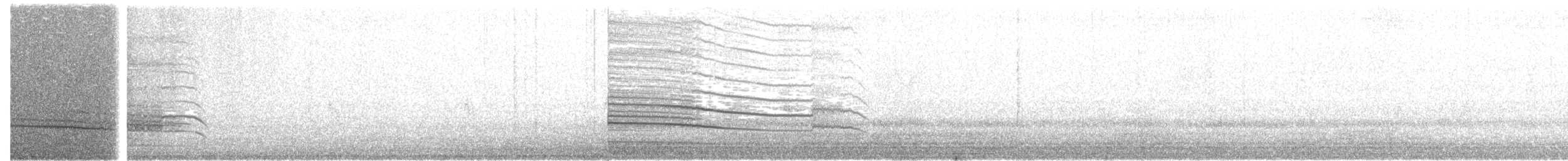 Swainson's Hawk - ML110269521