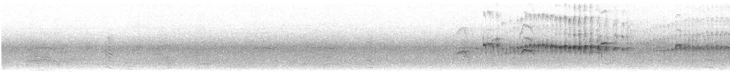 シロハラアマツバメ - ML110296021