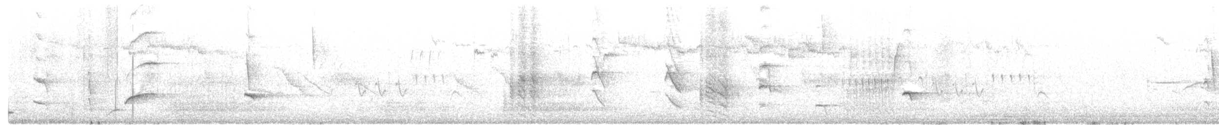 Патагонский курен - ML110388991