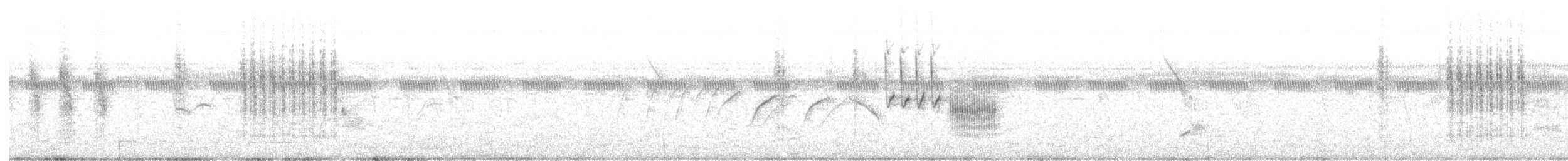 Grass Wren (Northern) - ML110425941