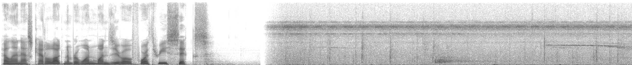 Little Tinamou - ML110436