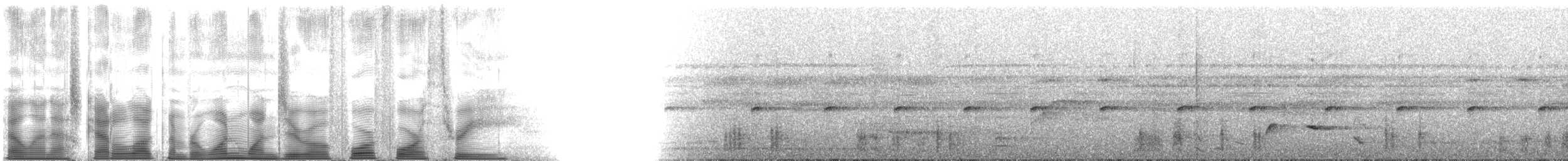 Troglodyte arada (modulator) - ML110443