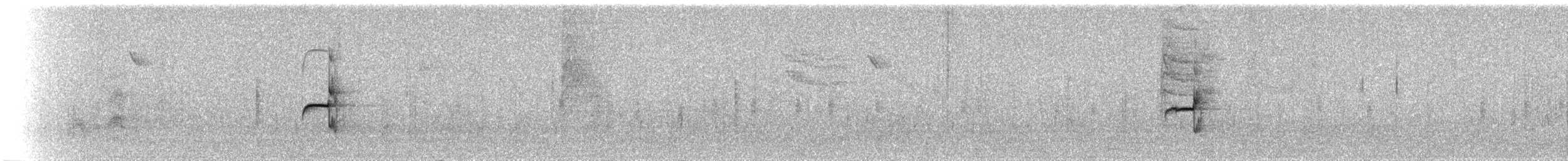 Northern Beardless-Tyrannulet - ML110463311