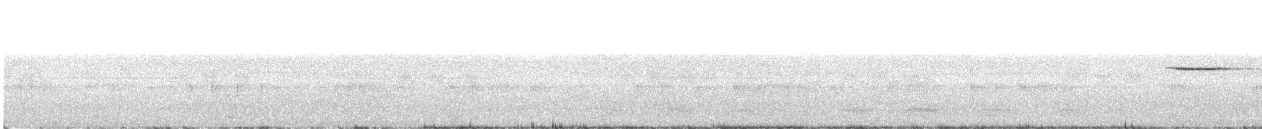 Malabar Whistling-Thrush - ML110475231