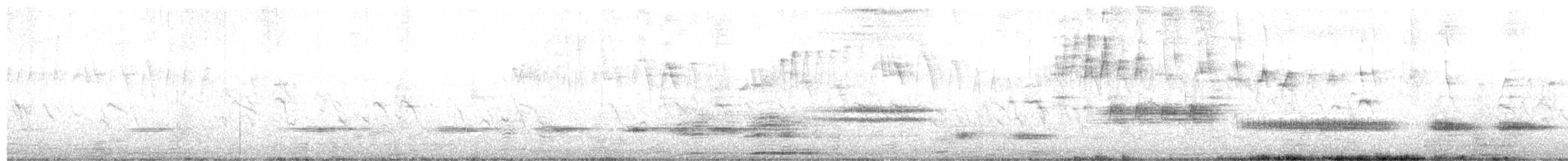 Cuban Solitaire - ML110521081