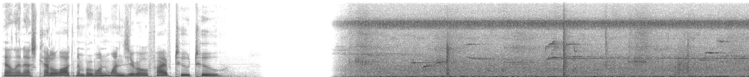 Lawrence's Thrush - ML110522