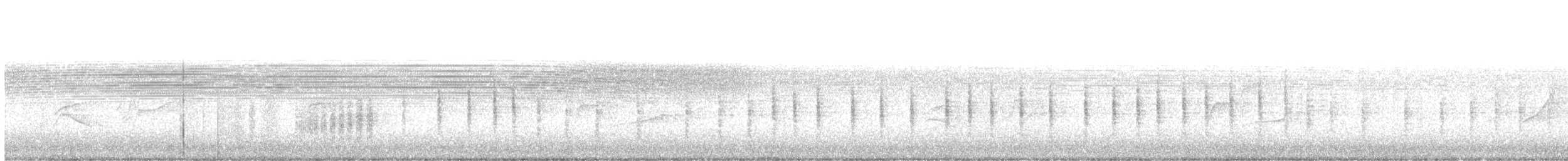 Ev Çıtkuşu [aedon grubu] - ML110524821