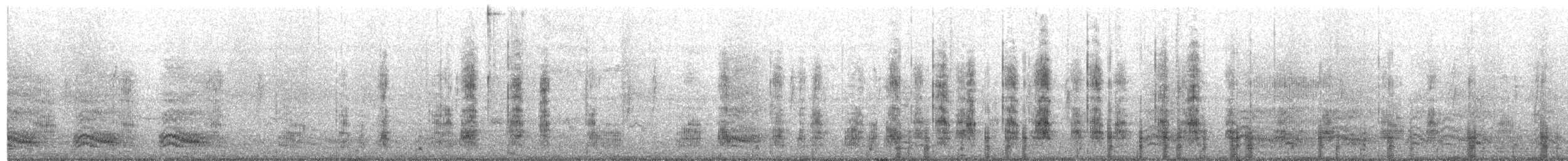 Stockente - ML110534171