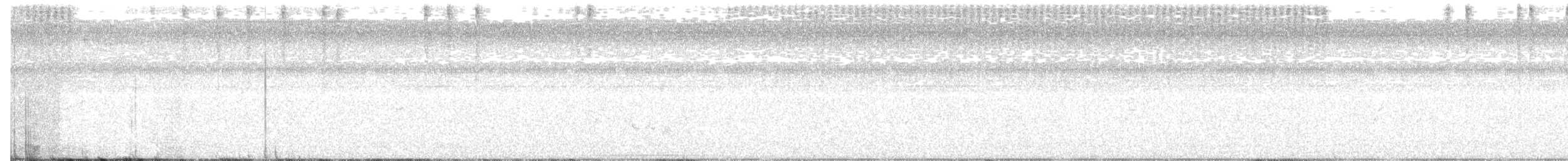 holub bledočelý - ML110634431