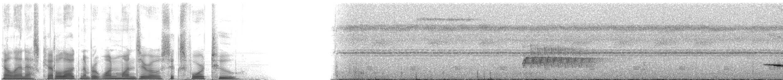 Lawrence's Thrush - ML110642