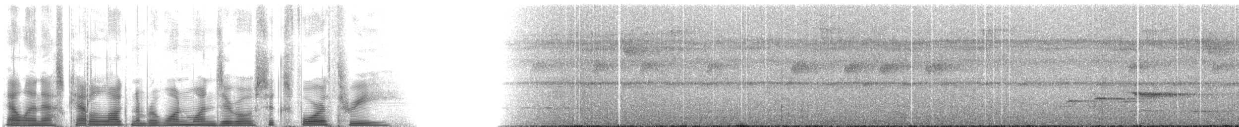 Lawrence's Thrush - ML110643