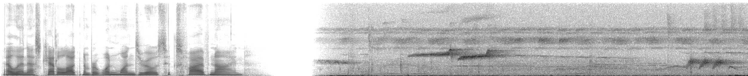 Lawrence's Thrush - ML110659