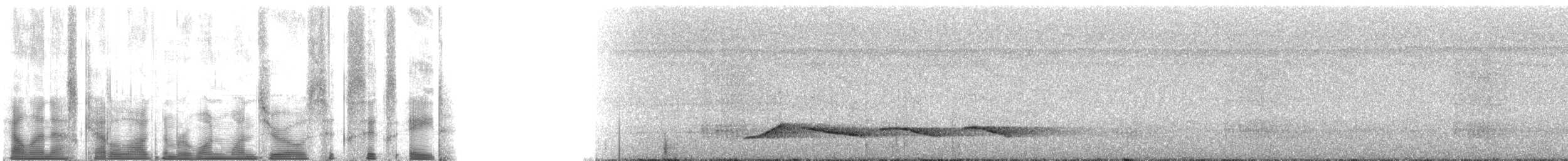 Lawrence's Thrush - ML110668