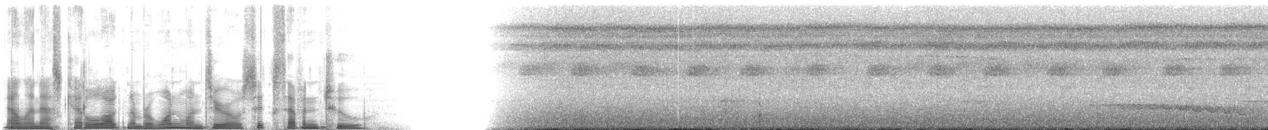 amazonvatretreløper (juruanus/polyzonus) - ML110672