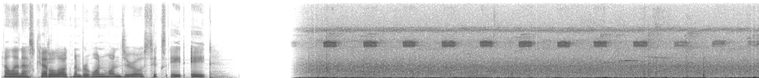 Lawrence's Thrush - ML110688